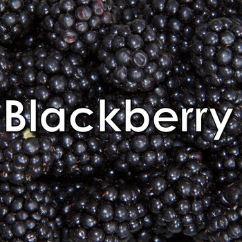 Blackberry Tile Candy (Sugar Free)