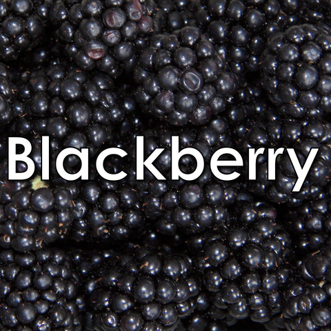 Blackberry Tile Candy